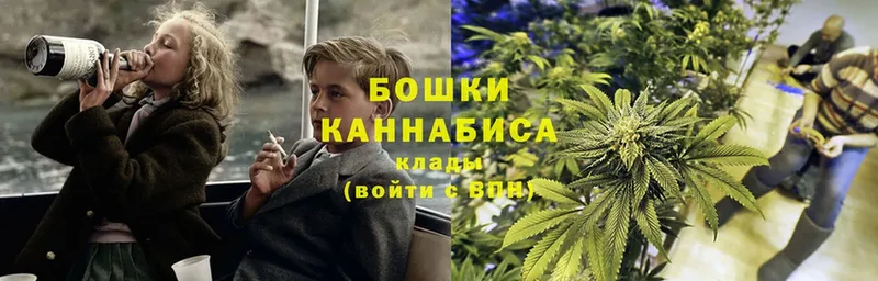 Марихуана Amnesia  Новое Девяткино 